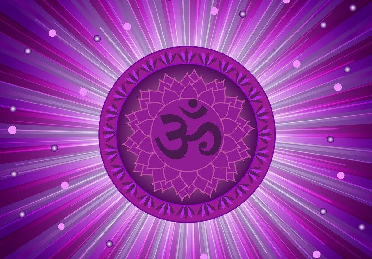 Из Интернета