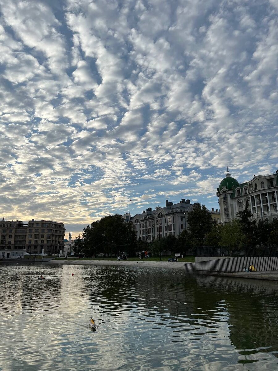 Пруд в парке "Чёрное озеро"