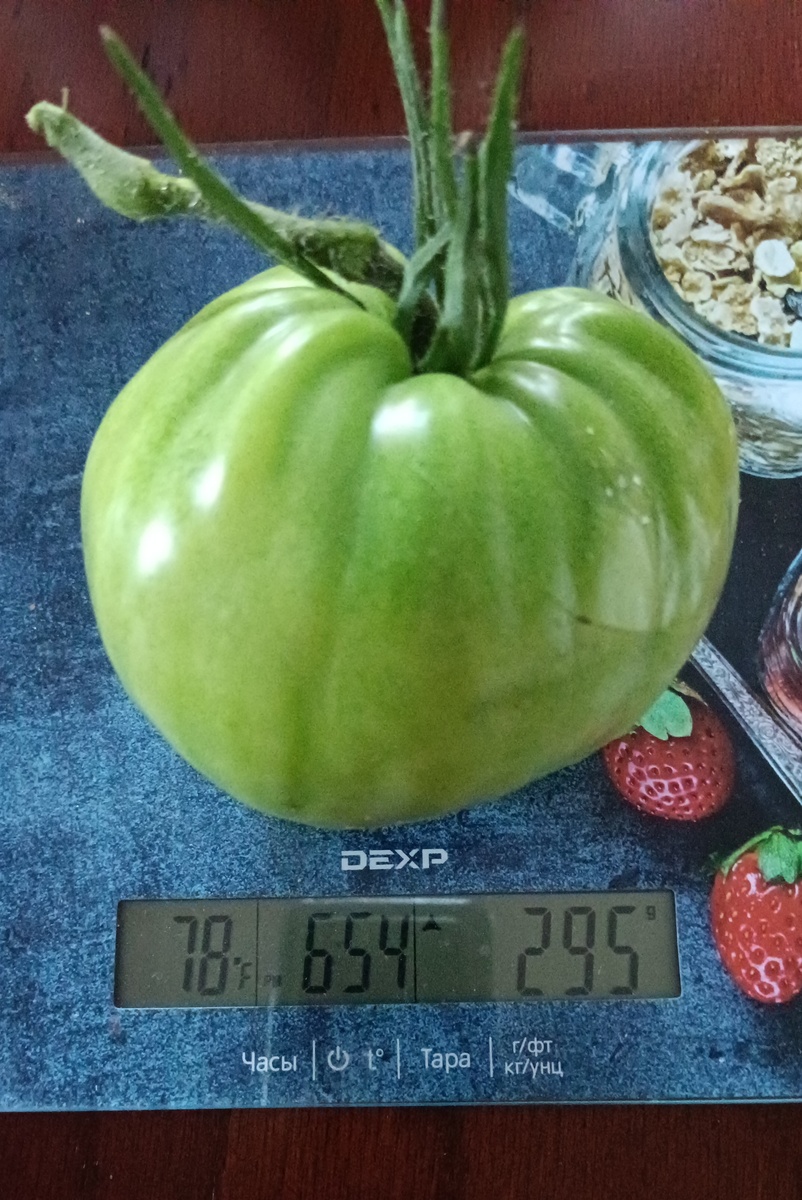 Фото из личного архива автора 