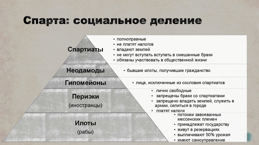 Схема общественного устройства греческого полиса 5 класс
