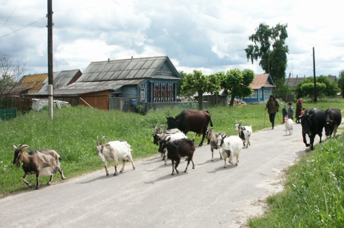    Омские власти увеличат финансирование на ремонт сельских дорог