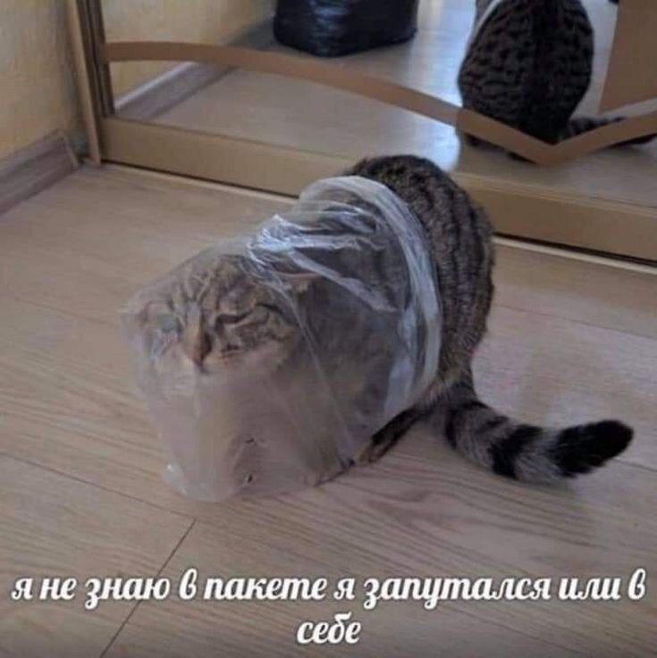 ЪьЪ эхэхэхэхэх. Запутався 🌚