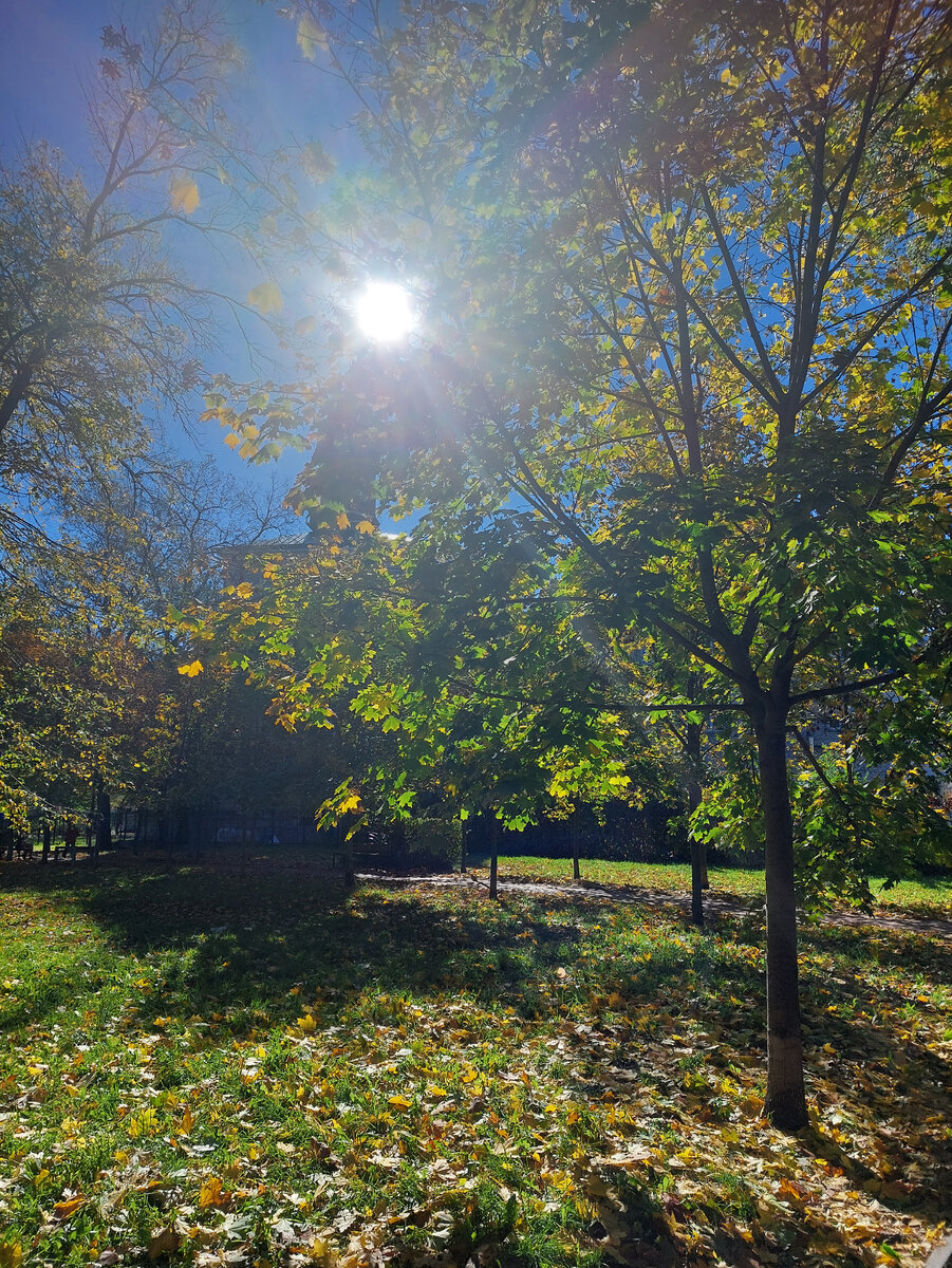 Личное фото автора