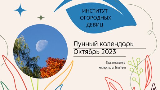 Посевной календарь на 2019 год: таблица благоприятных лунных дней для посадки ог