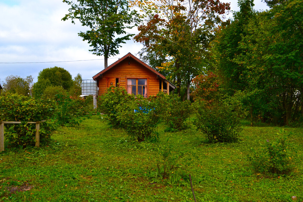 Осень в деревне