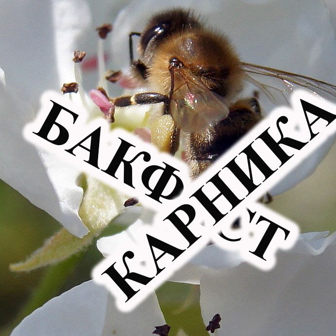 Грааль пчеловодства