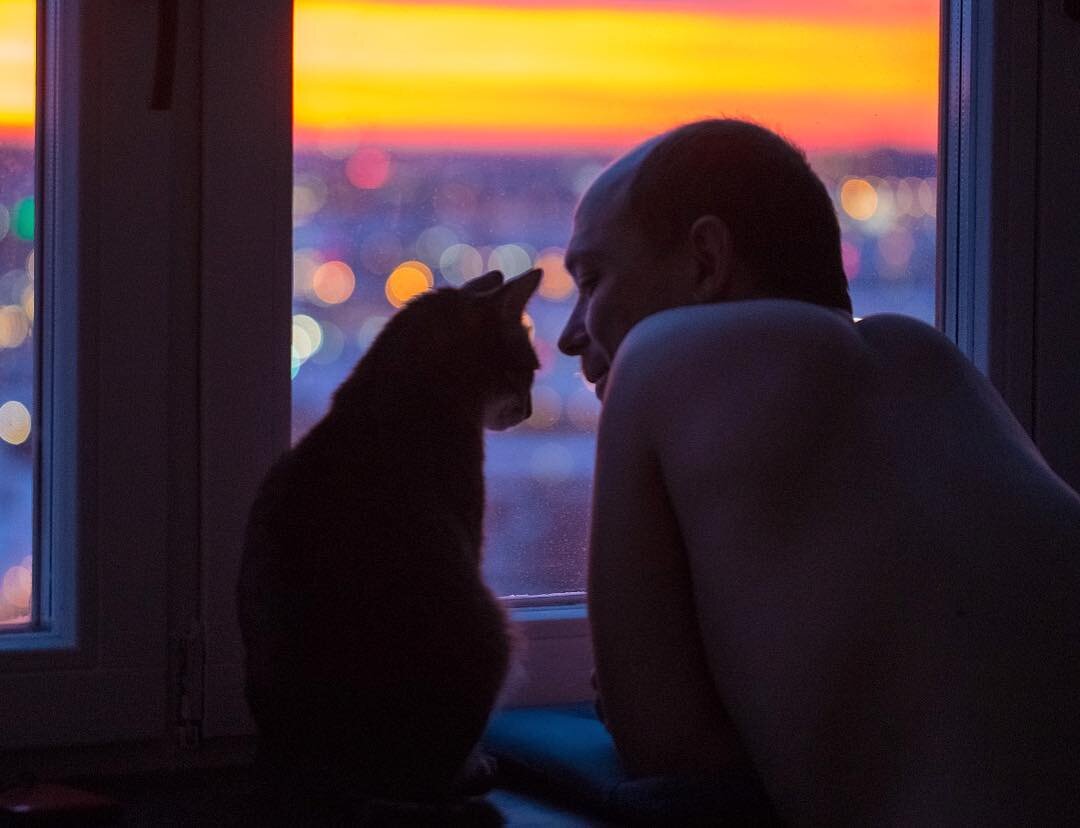 Сон люди в окнах. Человек и кошка у окошка. Человек и кошка у окна. Парень на окне с кошкой. Волк на окно.