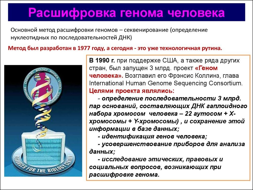 Характер в наследство: влияние генов на характер человека | ESTET-PORTAL |  Дзен