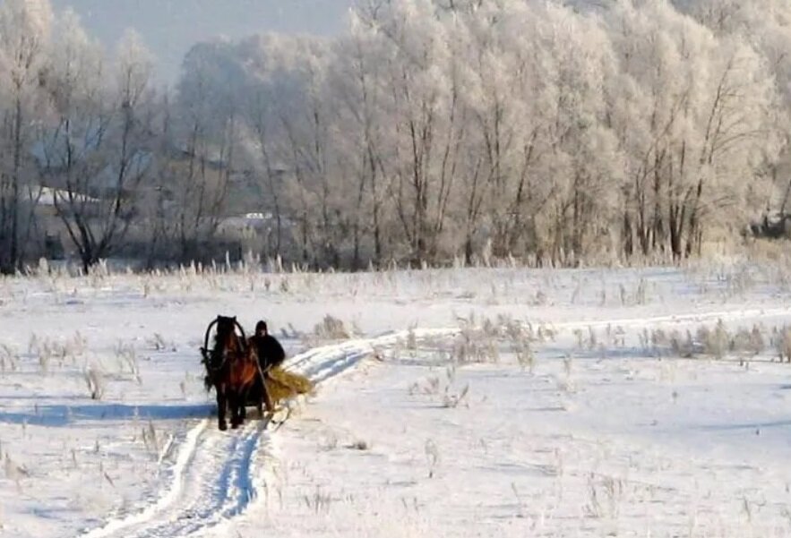 Рисунок к стихотворению пороша есенина