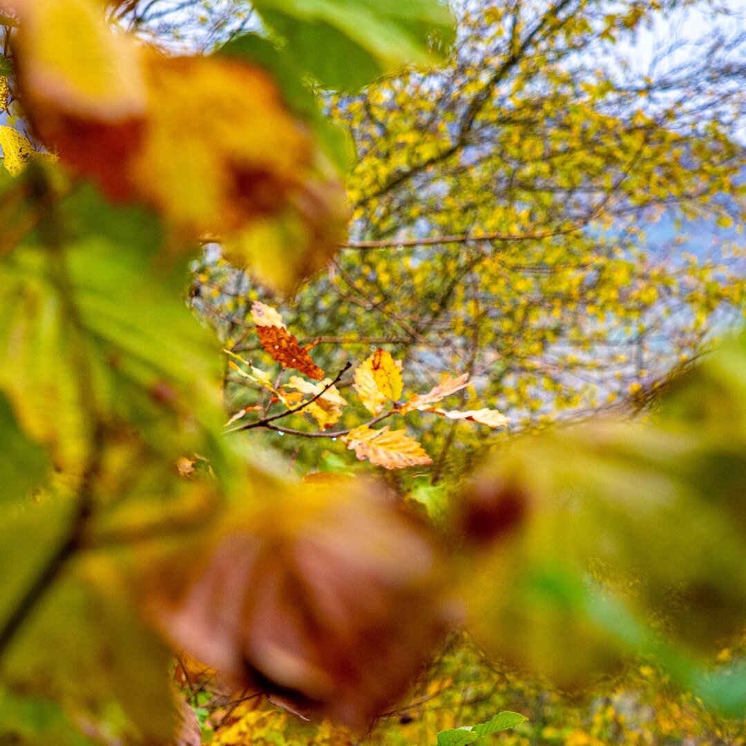 Быть спокойным в любой ситуации залог успеха и правильного ее решения.