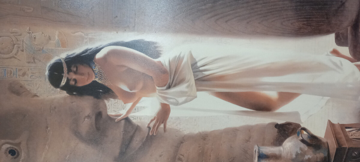 Прекрасный пол