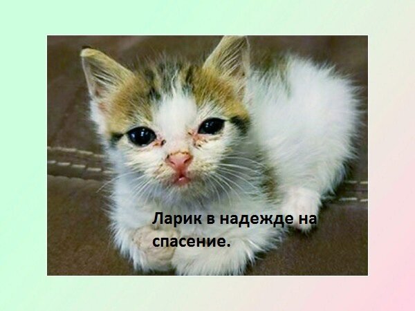 фото Анны Карбо