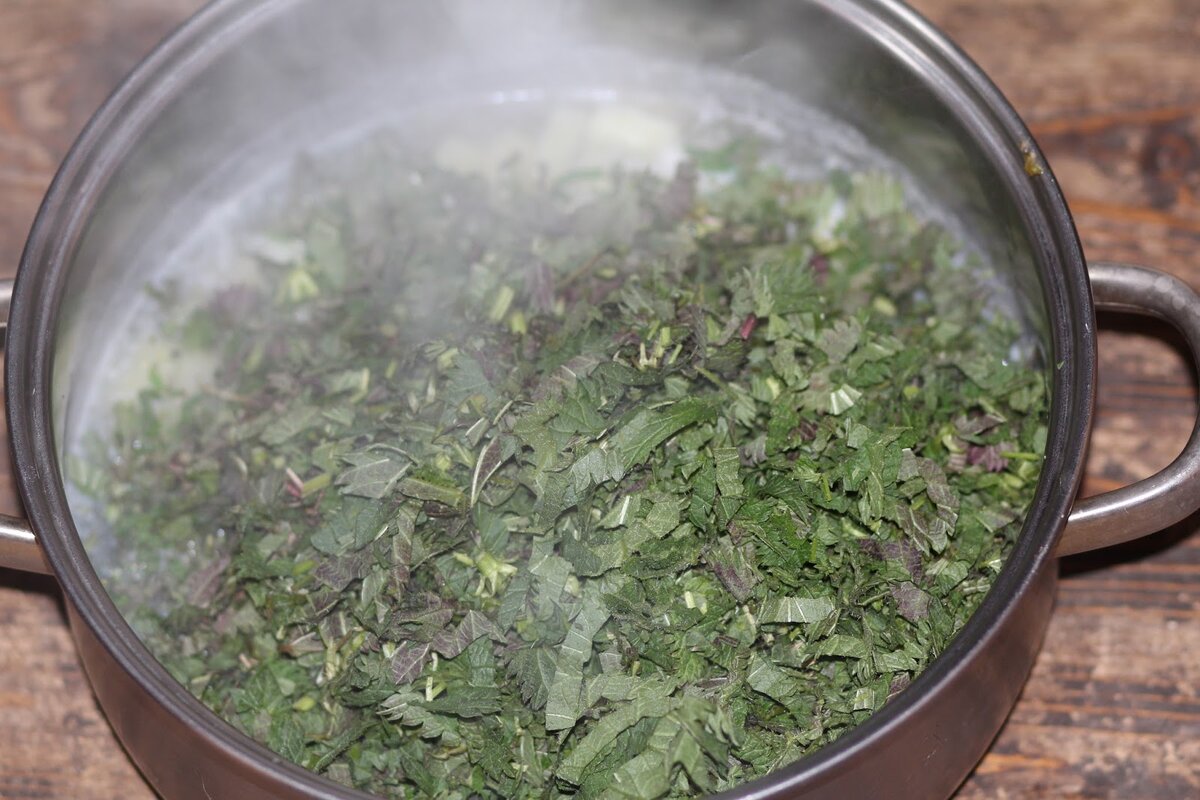 ЩИ ИЗ КРАПИВЫ