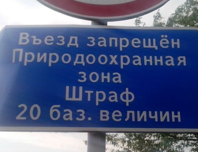 Фото : Яндекс Картинки.