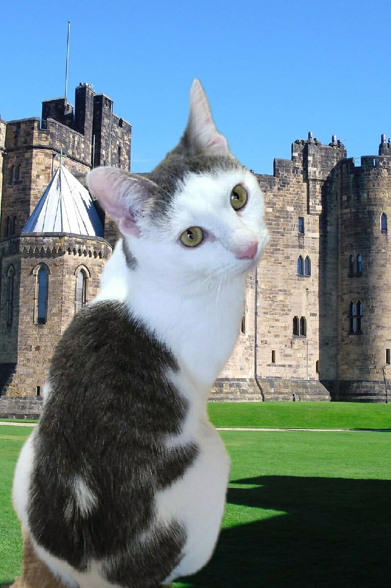 Христофор всегда ждёт человека...