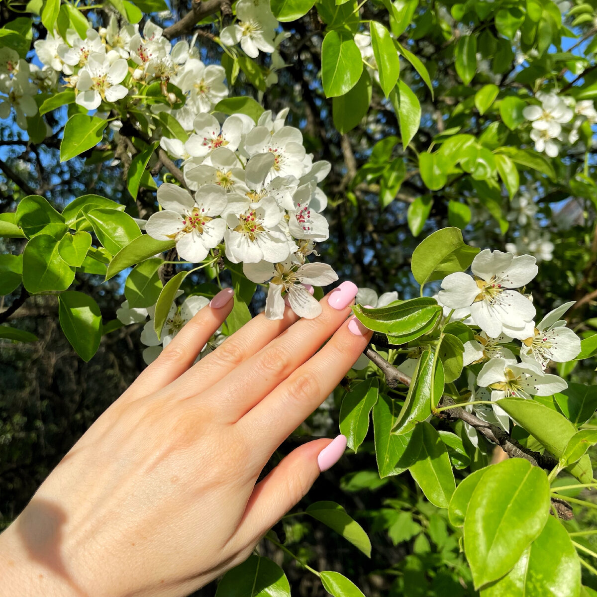 Очень люблю природу