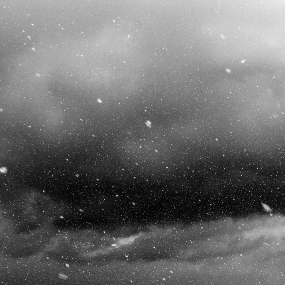 Источник яндекс 