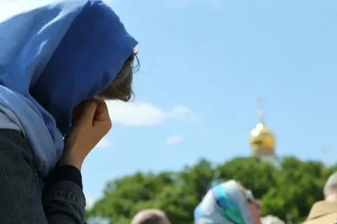 фото из открытого доступного источника сети интернет