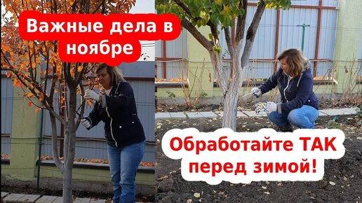 Что делать перед зимой. Обработка сада и города. Важные дела на дача, в саду и огороде в ноябре.