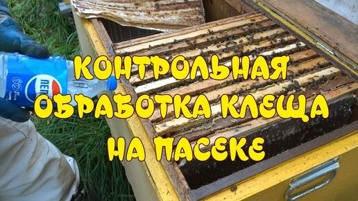 Пчеловодство pokraska-obrabotka.ruвочные корытца для подкормки канди своими руками. — Video | VK