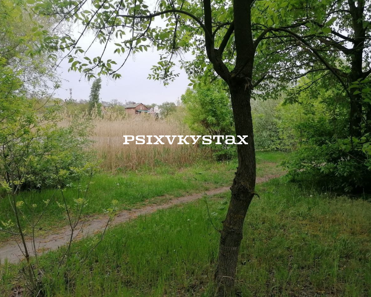 Одно из моих любимых тихих мест. Фото из личного архива