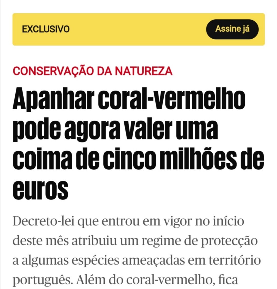 Статья в газете