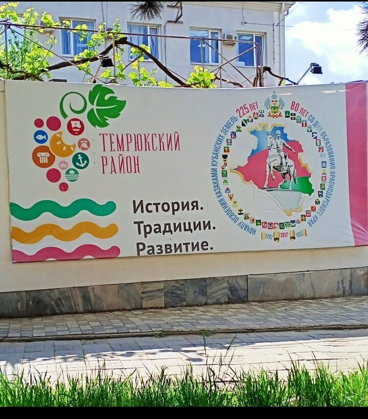 Личное фото. Виноград и три моря- главные символы района!