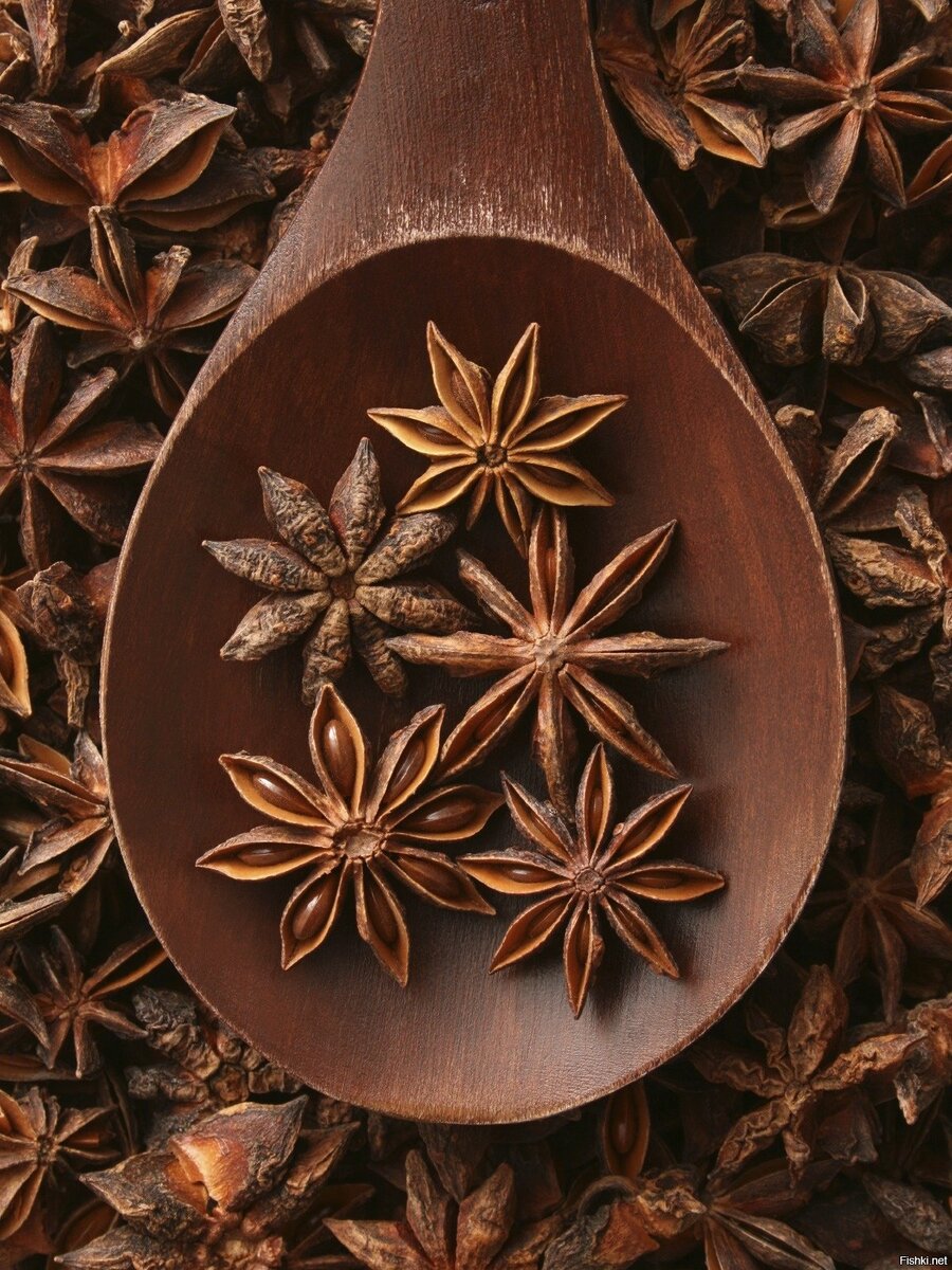 Фото взято из интернета.