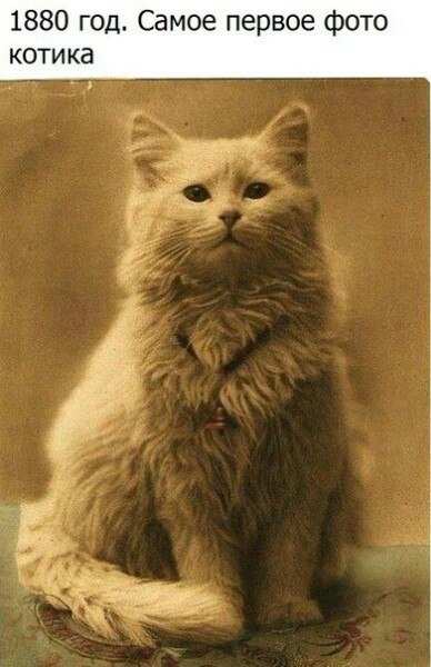 Ну разве я не красавец? 