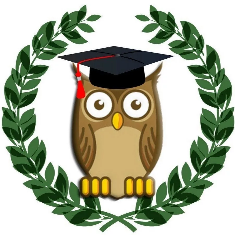 Милый учёный совёнок