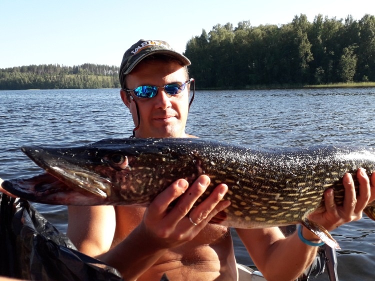 мой трофей прошлого года щука на 5.2кг 