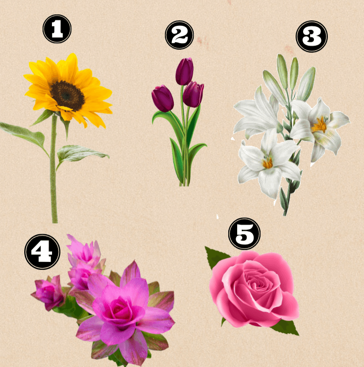 Открытый источник