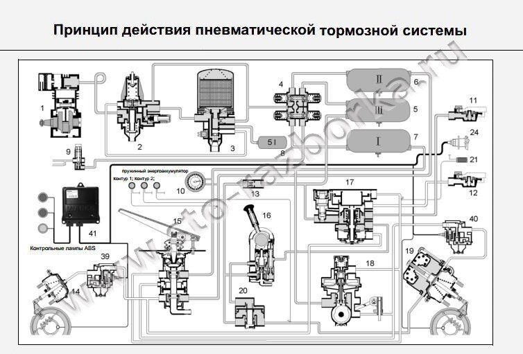 
Компрессор 1 подает сжатый воздух через регулятор давления 2 в осушитель воздуха 3. Назначением автоматического регулятора является поддержание давления воздуха в пневмосистеме в заданных пределах, к примеру (7.2 – 8.1 бар). Осушитель удаляет из воздуха содержащаяся в нем влагу, которая выводится из системы через вентиляционный канал. Подготовленный воздух подводится к 4-х контурному защитному пневмоклапану 4, который препятствует снижению рабочего давления в тормозной системе при отказе в одном или нескольких контурах системы тормозов. Ресиверы (6 и 7) обеспечивают работу контуров первой и второй тормозной системы через тормозной кран 15. В контур 3 воздух поступает от ресивера 5 через автоматическую соединительную головку 11, кран управления тормозом прицепа 17, 2-х позиционный клапан (2-х ходовой), обратный клапан 13, кран включения стояночной тормозной системы 16 и ускорительный клапан 20 в камеру пружинного энергоаккумулятора пневмоцилиндра 19. Контур 4 предназначен для питания вспомогательных потребителей сжатого воздуха, например, моторного тормоза. В прицепную тормозную систему воздух подводится через соединительную головку 11 и шланг ресиверу. Затем, через магистральный воздушный фильтр 25 и тормозной кран прицепа 27 он поступает в ресивер 28 и далее к ускорительным клапанам ABS 38.