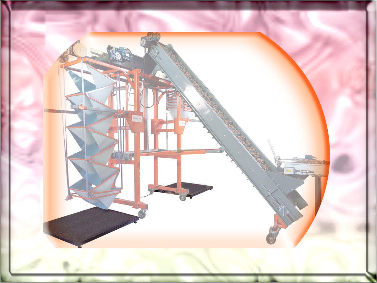 Оборудование для закладки на хранение моркови