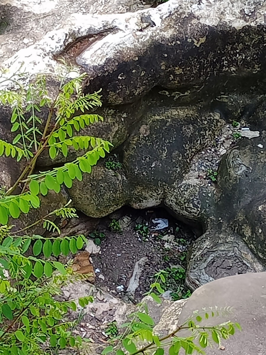 бесстыжие ванны  без воды