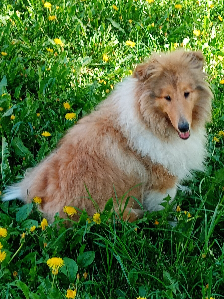 Дениза, 5 месяцев