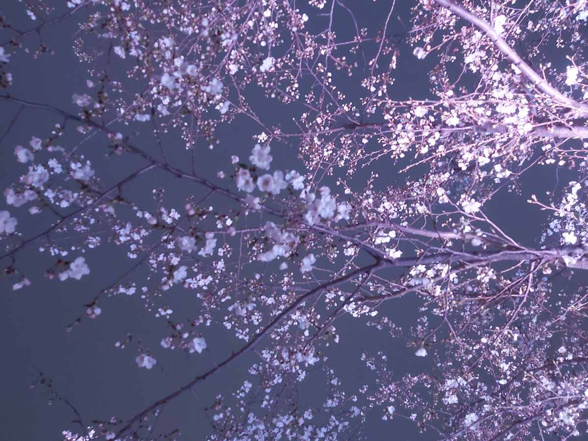 Подписывайтесь на канал 