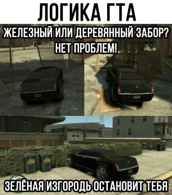 А ведь существуют ещё и пальмы
