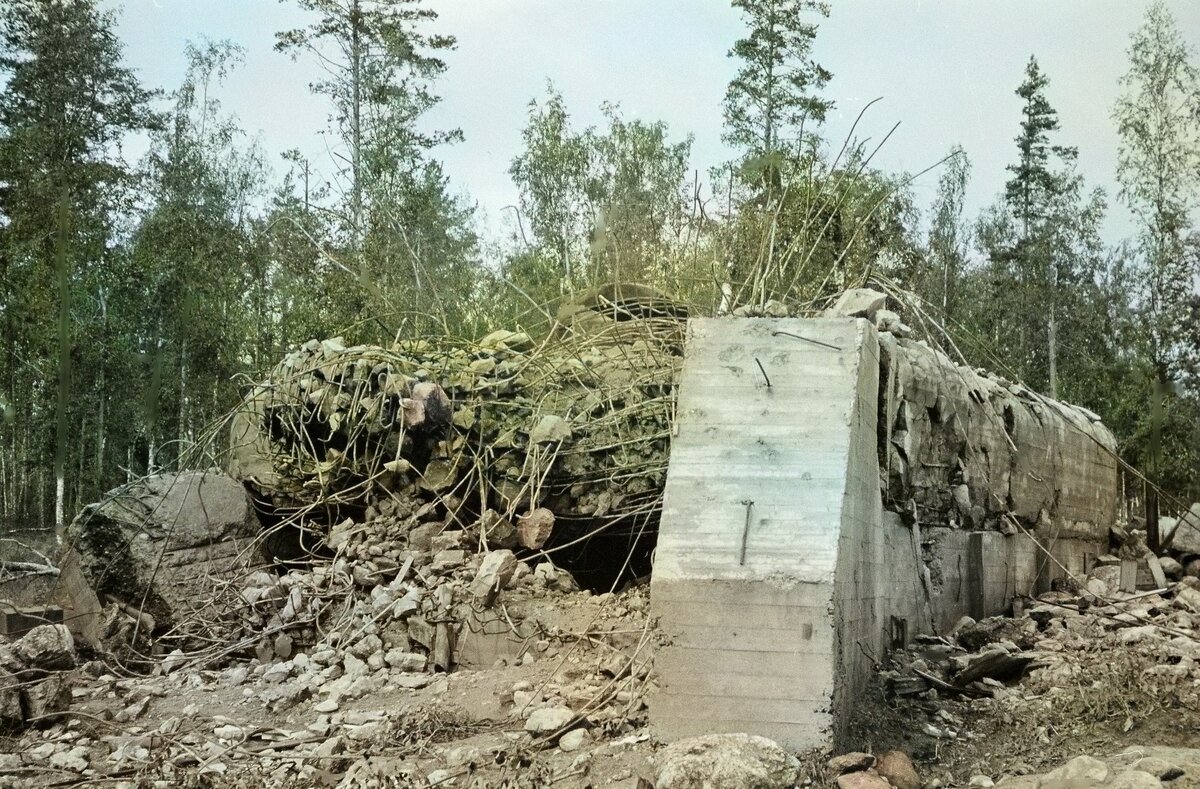 Фото из свободного доступа. Яндекс картинки. Доработано автором.