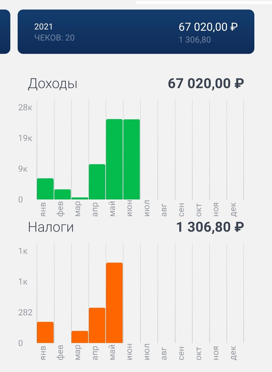 Статистика в приложении Мой налог за 2021
