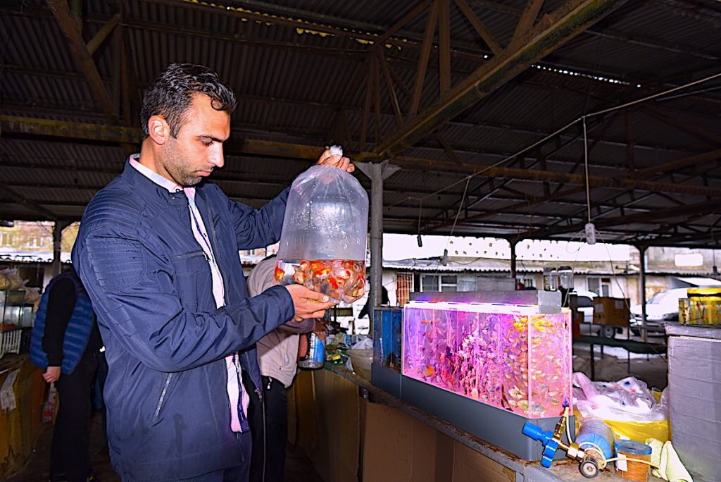 Армен на воскресном рынке в ереванском районе под названием «Третий участок»