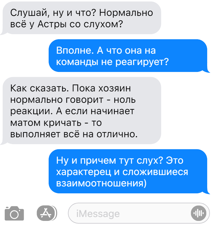 Переписка c c. Приколы в чате. Переписка c c. Смешной флирт. Скажи что нибудь грязное.