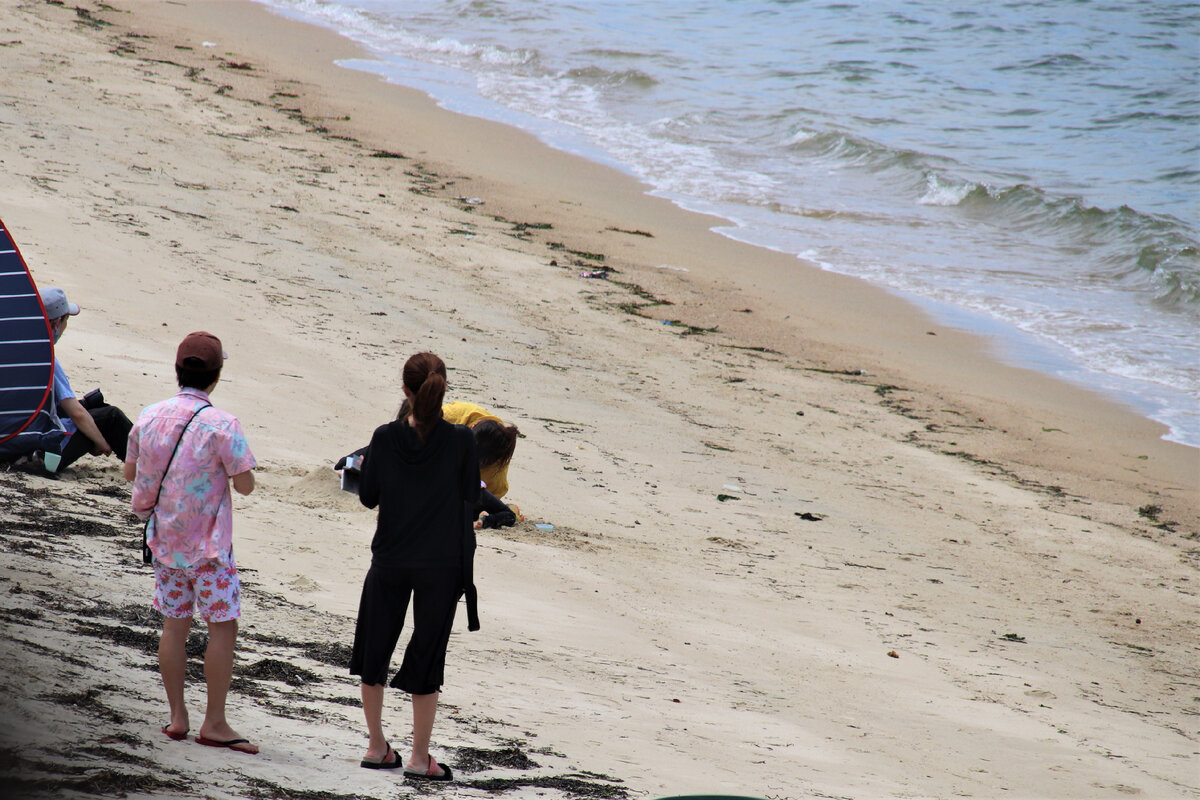 Японки на пляже. Как отдыхают у моря японцы | Япония глазами одного ...