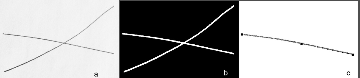 Fig. 5.  Две пересекающиеся линии. a — исходное изображение; b — результат предобработки (препарирования); 
с — выделенная одна из линий с отметками входа, концов и трассой-скелетоном

