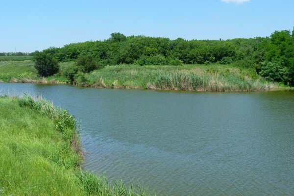 Пруд. фото novocherkassk.net