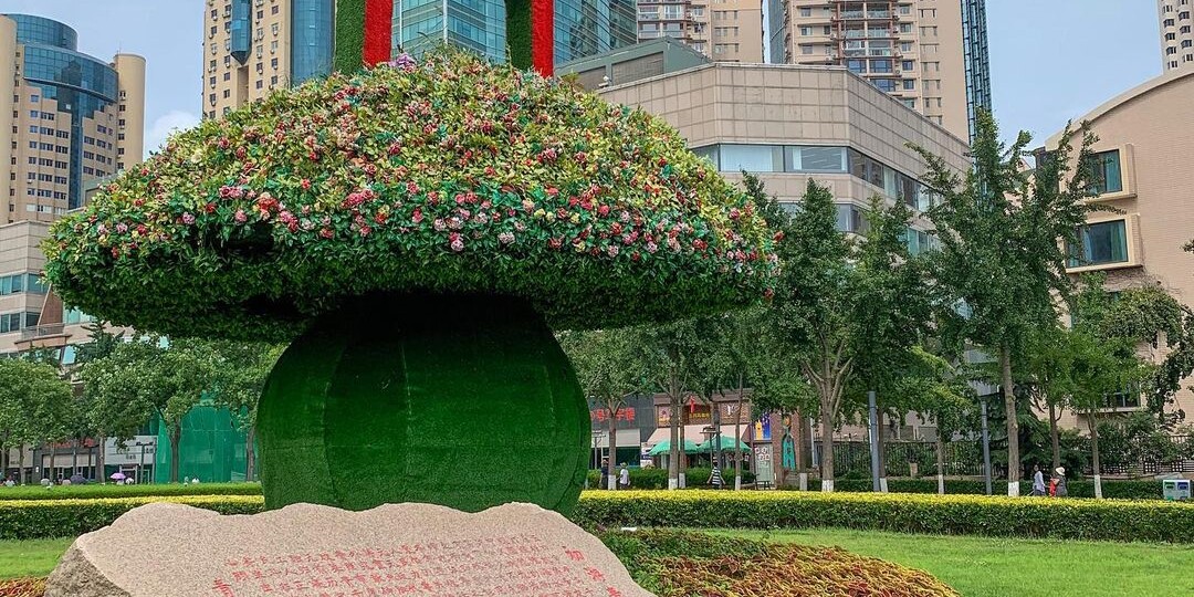 Как нам удалось приехать на Бали и кем мы работаем