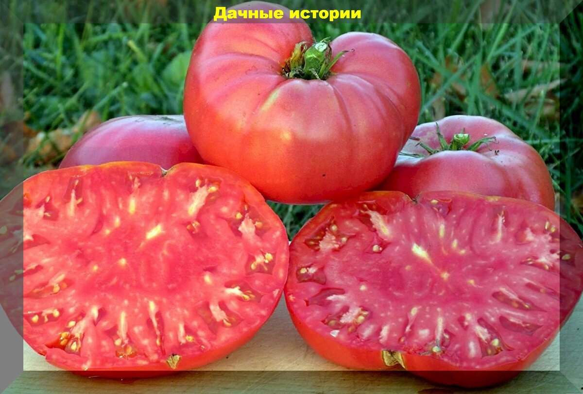 https://vk.com/photo-159774511_457251277