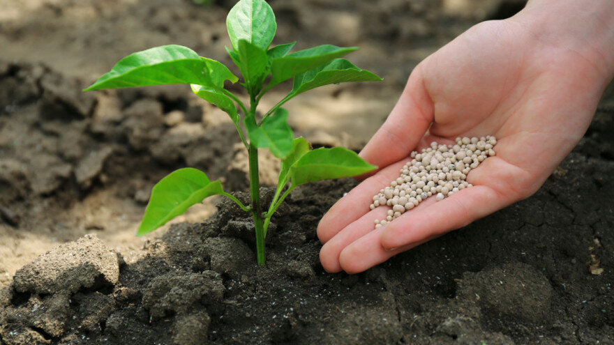 Сыпь на глаз или строго в меру???