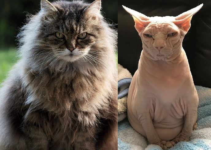 фото с сайта onashem.mediasole.ru