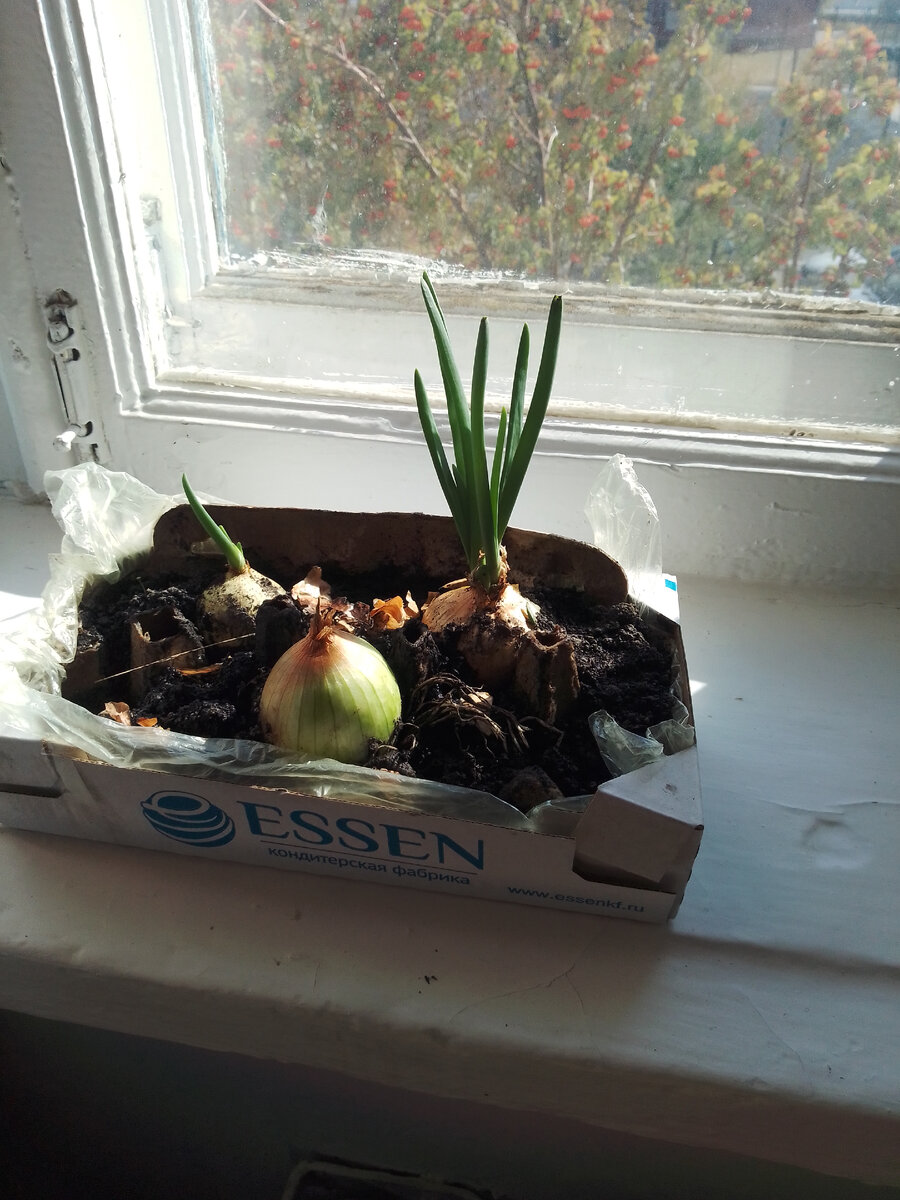 Лу́ка, Лукас и маленький Лулу